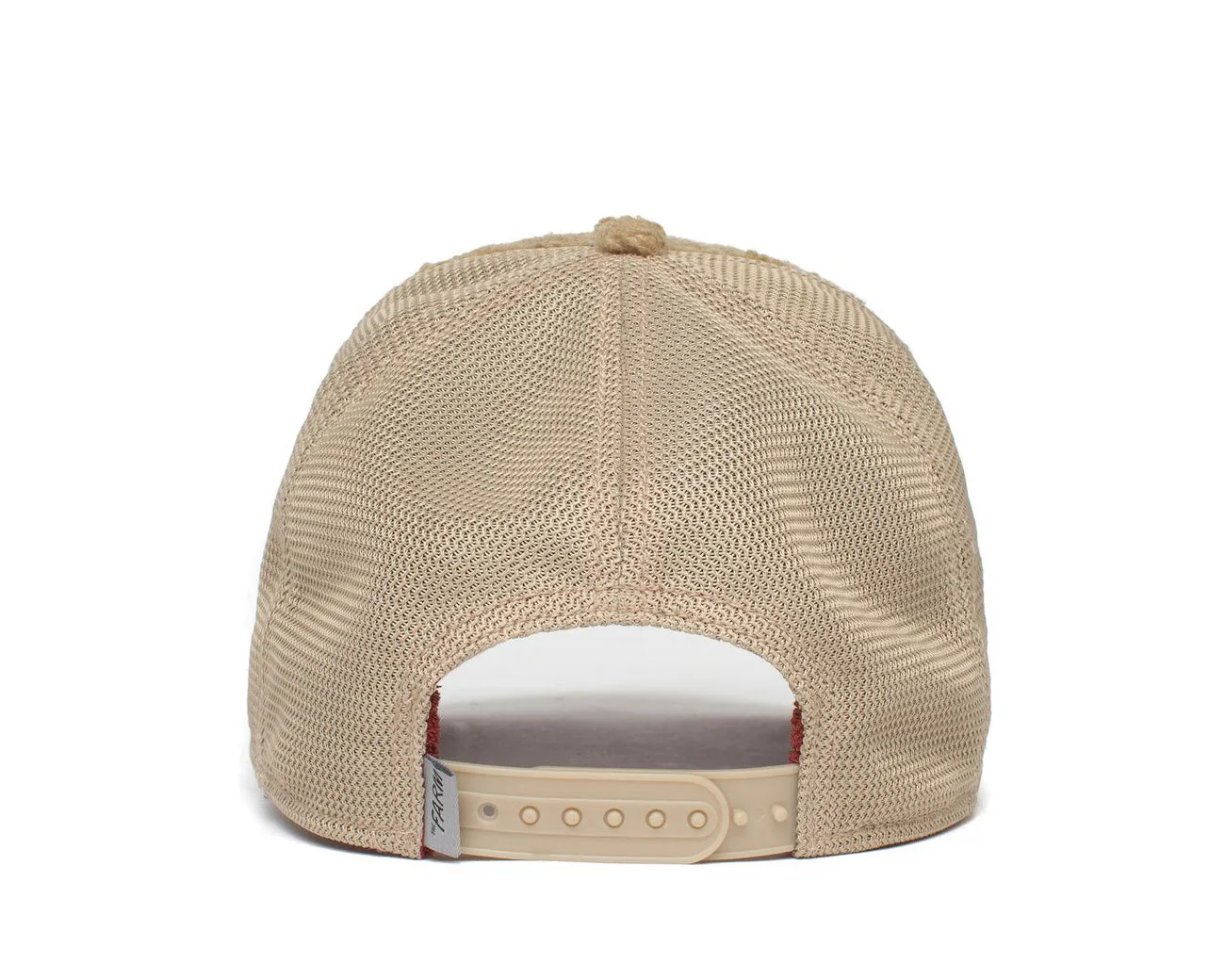 Baseball Bambino